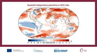 Anomalie temperatury powietrza w 2022 roku na świecie