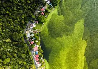 Umierające jezioro