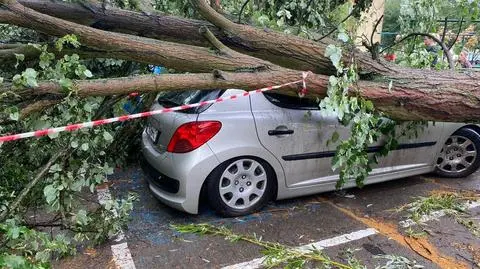 Zniszczone auta w Wągrowcu