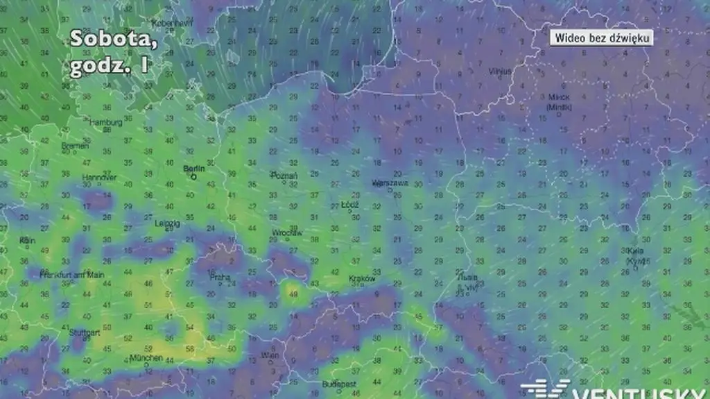 Prognozowane porywy wiatru w ciągu pięciu dni | wideo bez dźwięku