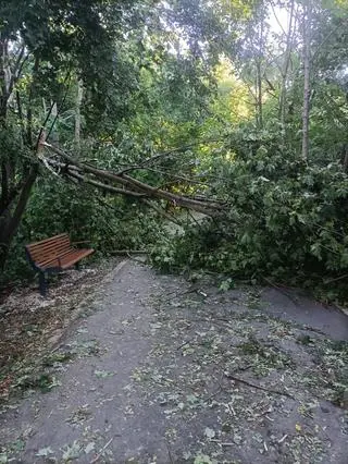 Połamane drzewa i konary w krakowskich parkach