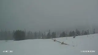 Hala Gąsienicowa - widok na Granaty, 4 lutego