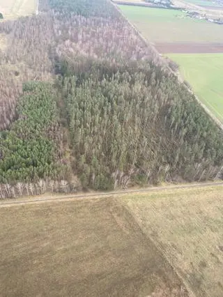 Zniszczenia w nadleśnictwie Świdwin