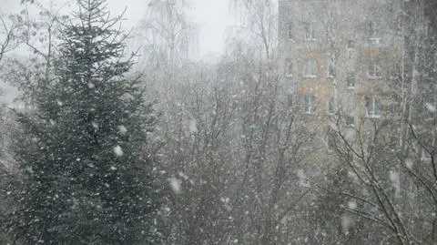 Śnieg