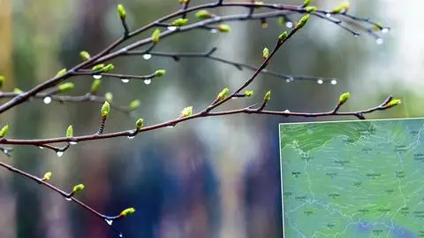 Niż przyniesie opady. Później wróci słońce, ale i srogi poranny mróz
