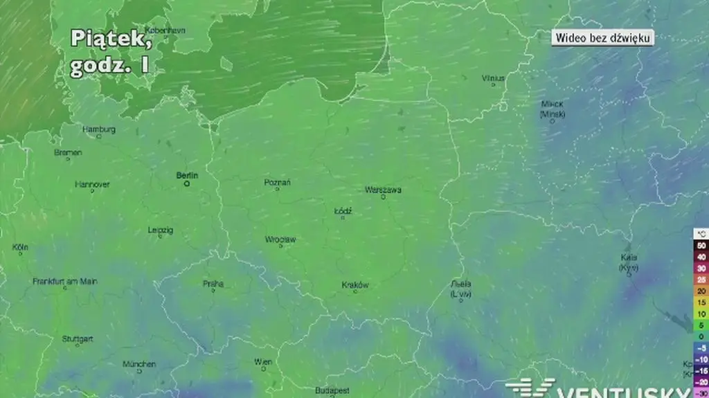 Prognozowana temperatura w następnych dniach