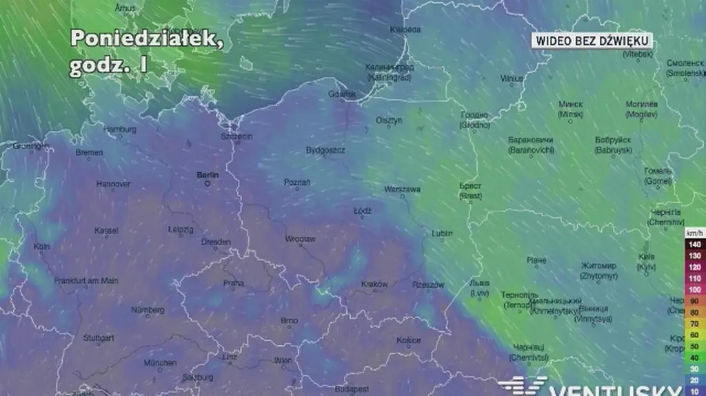 Prognozowane porywy wiatru w najbliższych dniach