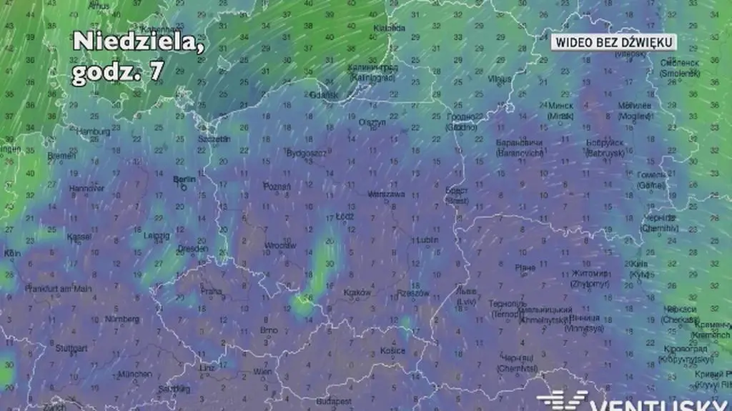 Prognozowane porywy wiatru w kolejnych dniach (Ventusky