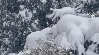 CHORZÓW POD ŚNIEGIEM