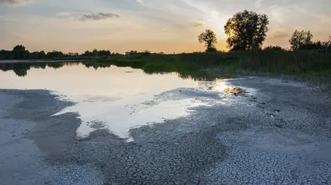 To, co dzieje się z polskimi rzekami i jeziorami, jest "niepokojące, a może już nawet niebezpieczne"