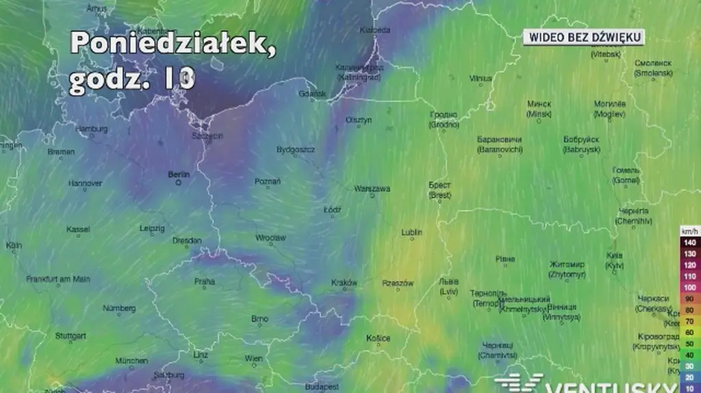 Prognozowane porywy wiatru w kolejnych pięciu dni (Ventusky