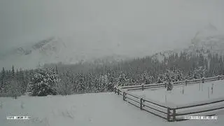 Hala Gąsienicowa, widok na Granaty - 12.11.23