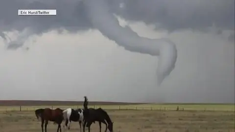 Tornado w USA