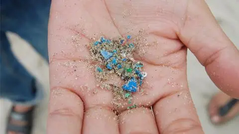 Mikroplastik - zdjęcie poglądowe