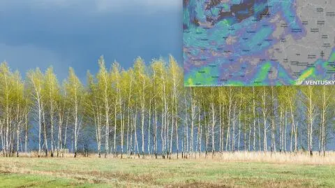 Prognoza pogody na najbliższe dni