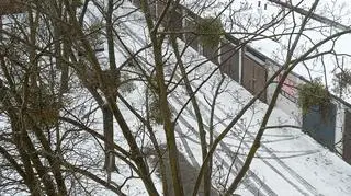 Zima wróciła Opole