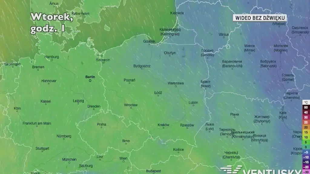 Prognozowana temperatura w najbliższych dniach (Ventusky