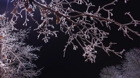 Mroźna noc