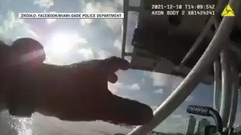 Delfin zaplątał się w sieć rybacką