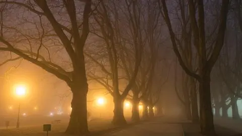 Mroźna i mglista noc
