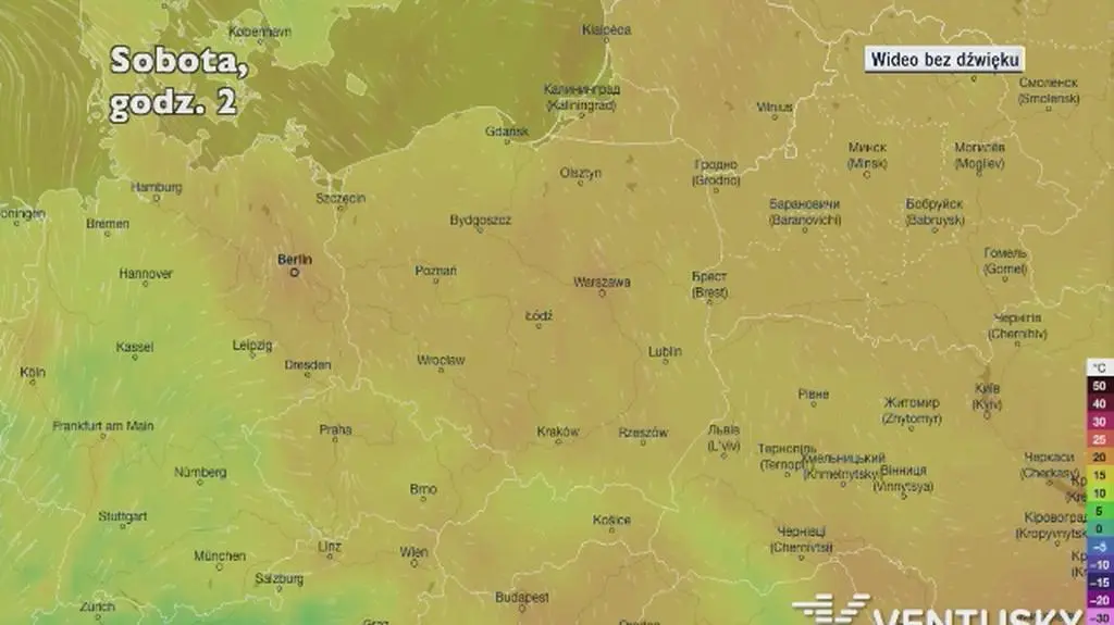 Prognozowana temperatura w następnych dniach (Ventusky