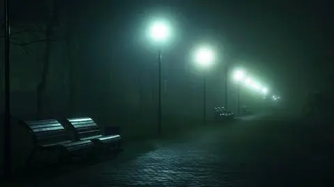 Mgły w nocy