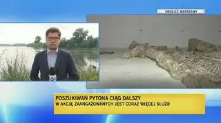 Są nowe poszlaki w sprawie pytona, który ma bytować nad Wisłą