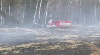 Pożar lasu i traw w miejscowości Jeziory Wysokie