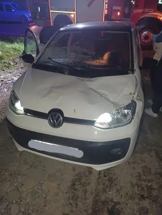 Złamane konary drzewa spadły na samochód 