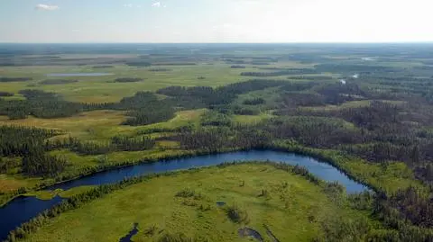 Naukowcy alarmują: syberyjska tundra może zniknąć do połowy tego stulecia