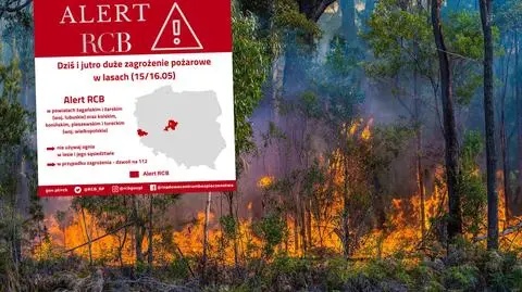 Alert RCB. "Nie używaj ognia w lesie i jego sąsiedztwie"