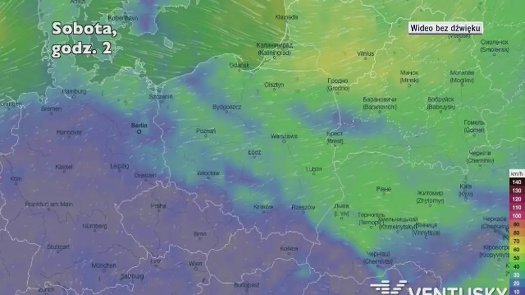 Prognozowane porywy wiatru w najbliższych dniach (Ventusky