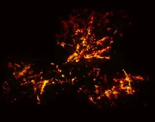 Mgławica Taranula - obraz ALMA