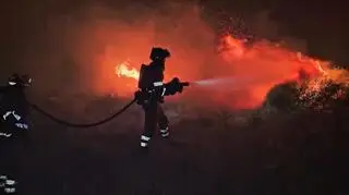Wielki pożar w Hiszpanii. Ewakuują całe gminy