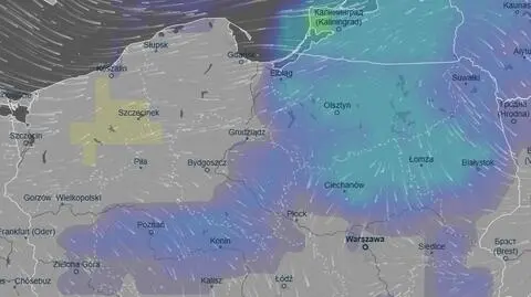 Prognozowane opady