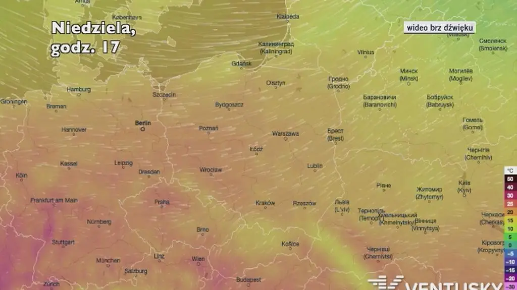 Prognozowana temperatura w kolejnych dniach (Ventusky
