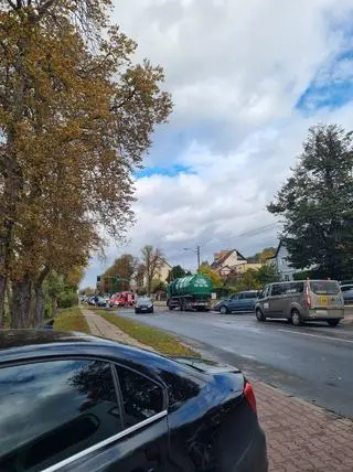 Drzewo spadło na samochód w Gryfinie