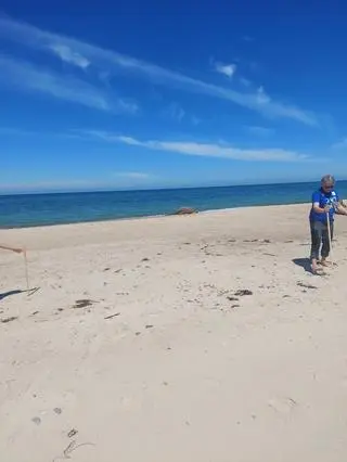 Mors na plaży koło Łazów