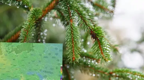 Nad Polską nastąpi starcie wyżu i niżu. Pogoda na 5 dni