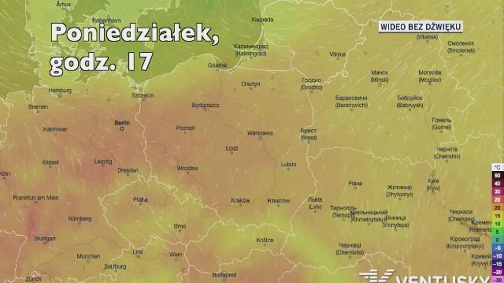 Prognozowana temperatura w kolejnych dniach (Ventusky