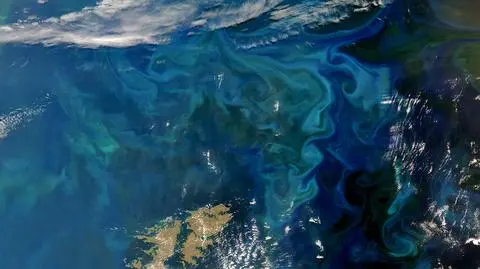 Plama na oceanie większa niż Madagaskar. Zobacz to na zdjęciu z satelity