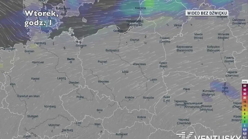 Prognozowane opady w ciągu najbliższych dni (Ventusky
