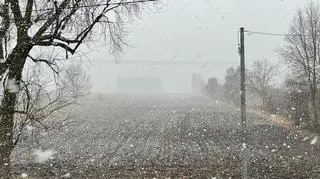 Krótka zawierucha ze śniegiem