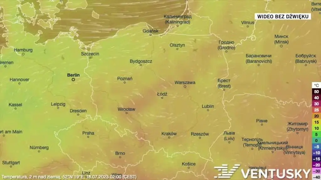 Prognozowana temperatura na kolejne dni