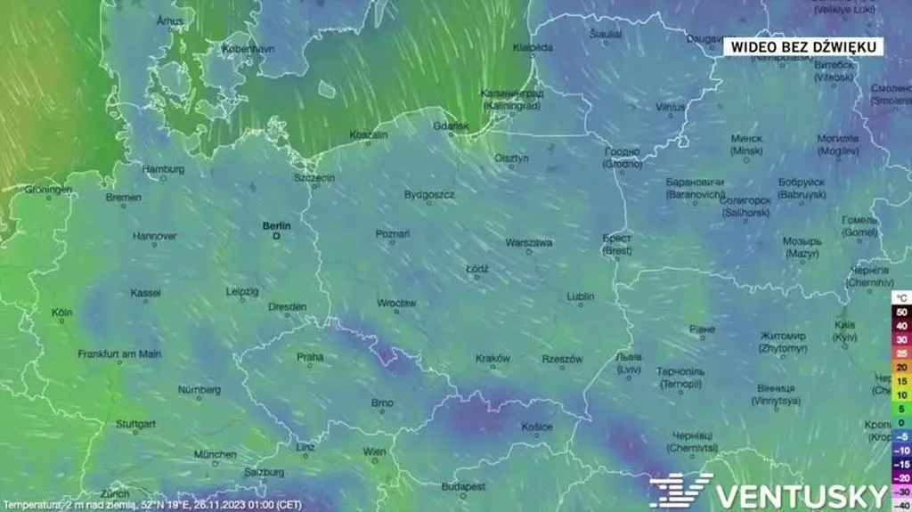 Prognozowana temperatura w kolejnych dniach