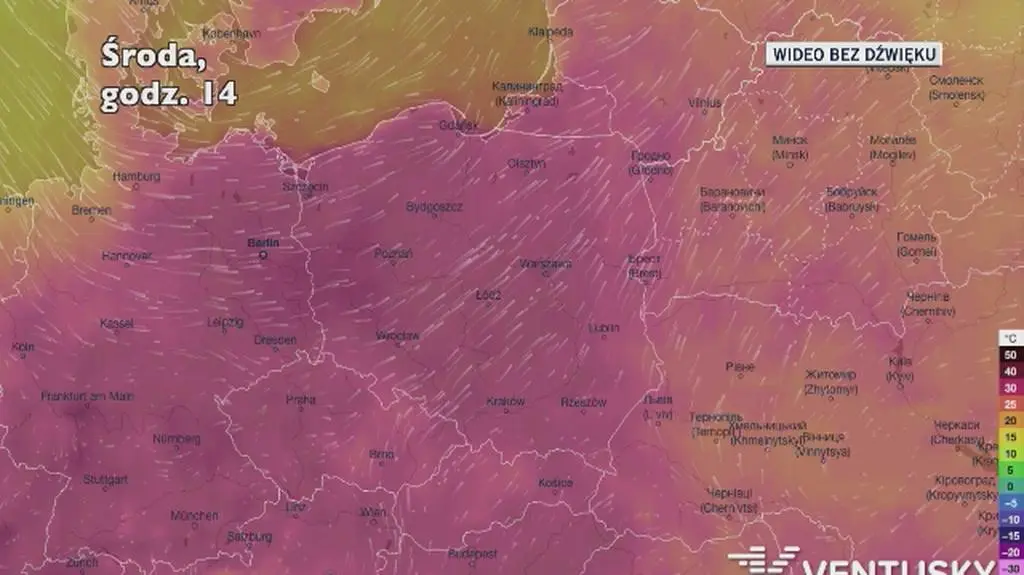 Temperatura w ciągu najbliższych godzin (Ventusky
