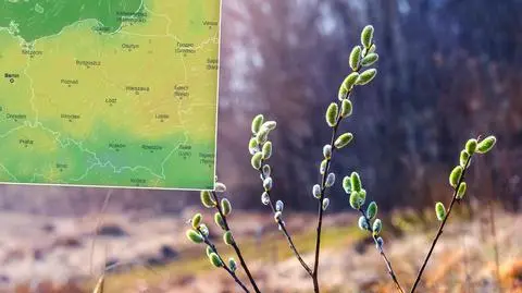 U jednych wyjrzy słońce, u innych spadnie deszcz. Prognoza pogody na Wielkanoc