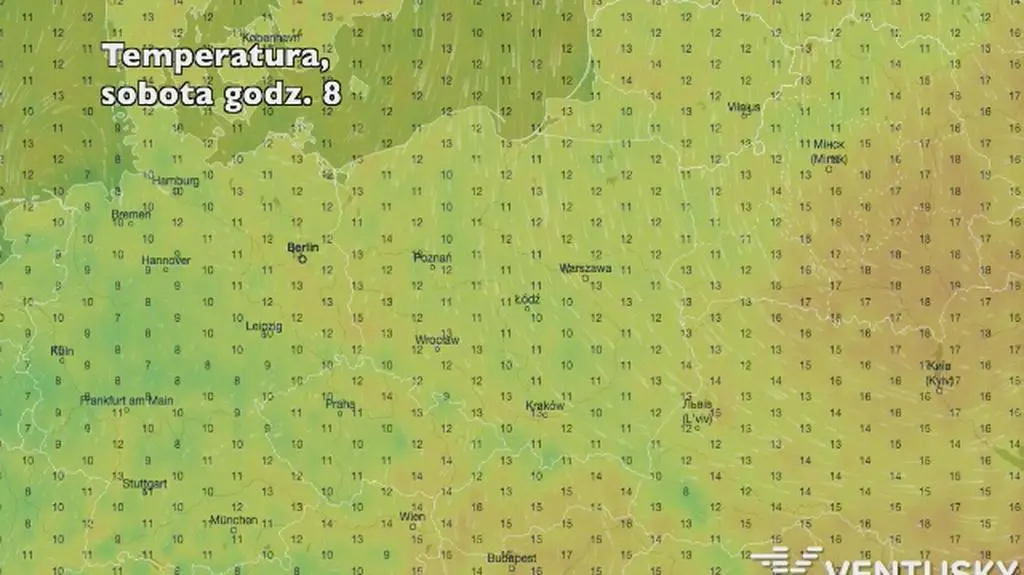 Rozkład temperatury w najbliższych dniach (ventusky