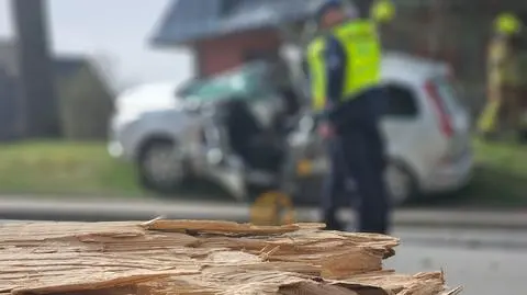 Poniedziałkowe wichury na Podhalu