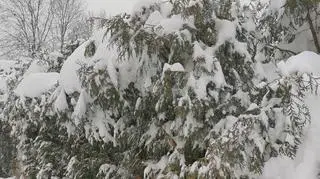 Atak zimy na podkarpaciu
